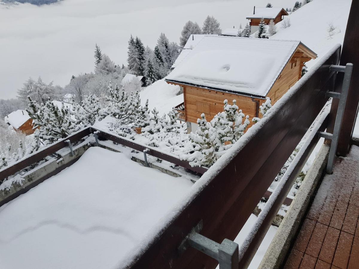 Les Collons1800- Bel Appart 2Pieces-4 Pers-Piscine-Sauna-Parking Int-Wifi Gratuit Vex Zewnętrze zdjęcie